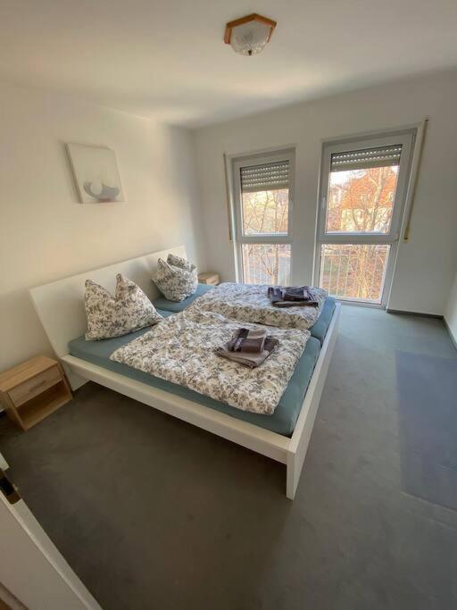 Schoene 2-Raumwohnung In Drezda Kültér fotó